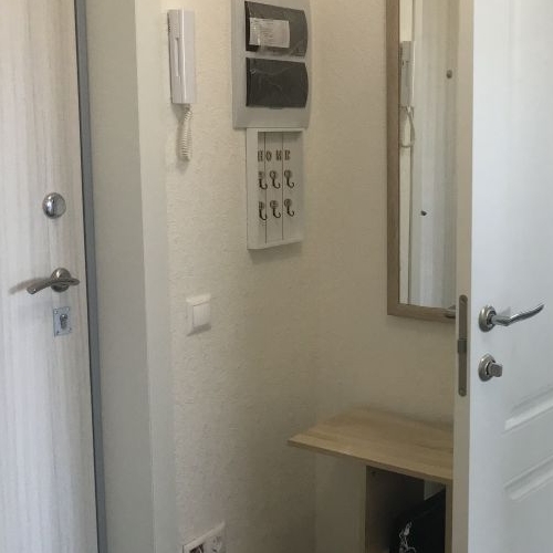 1-комн квартира Птицефабрика мкр, Томилино пгт, 39