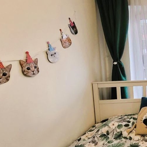 1-комн квартира Одинцово, улица Каштановая, 16к1