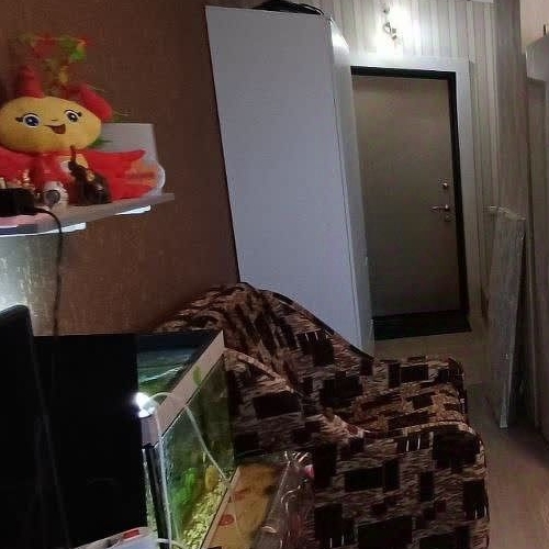 Студия Северный кв-л, д. Сапроново, Купелинка мкр, 20