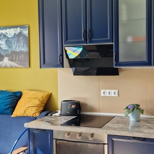 1-комн квартира аллея Буковая, 9