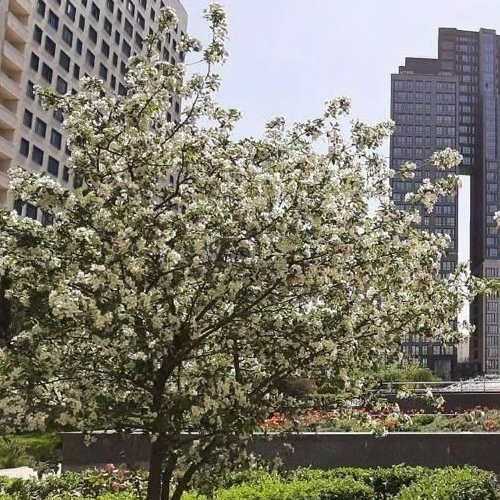 2-комн квартира Херсонская улица, 43к5