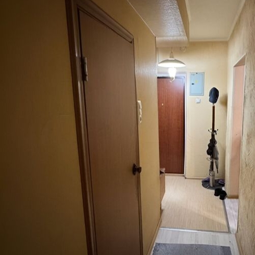 1-комн квартира Школьный мкр, д. Брехово,  д. к9