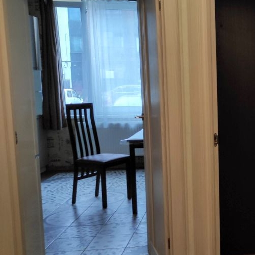 1-комн квартира д. Красный Поселок, улица Конюхова, 20