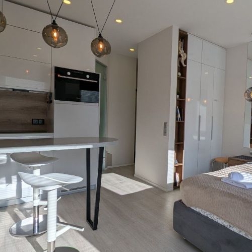 Студия Ботаническая улица, 33Вс1