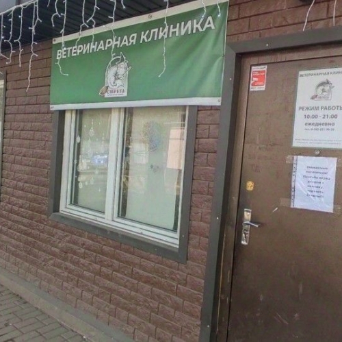 Помещение свободного назначения Чёрное, Носовихинское шоссе