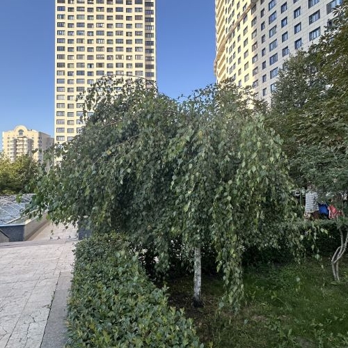 3-комн квартира Херсонская улица, 43к5