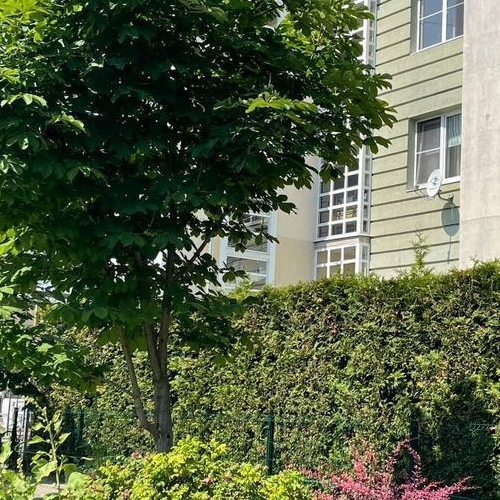 2-комн квартира Балашиха, улица Сосновая, 14