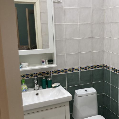 1-комн квартира с. Ромашково, улица Никольская, 4к3