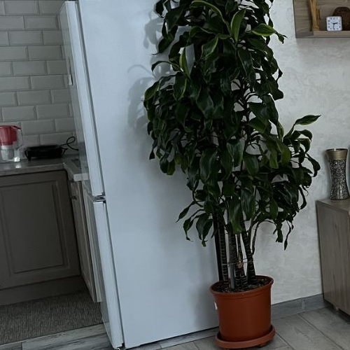 1-комн квартира Бибиревская улица, 4А