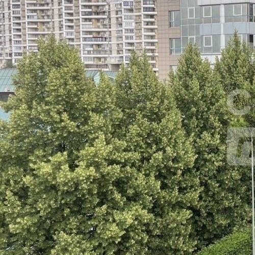 4-комн квартира Минская улица, 2Вк6