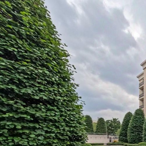 4-комн квартира улица Ефремова, 19к1