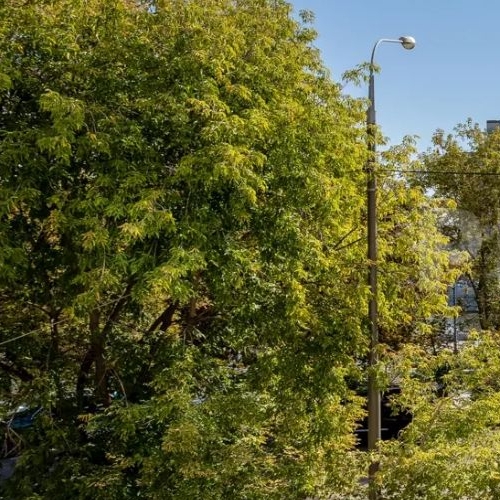 4-комн квартира Пречистенская набережная, 43