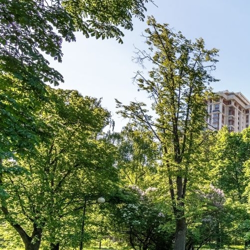 5-комн квартира Чапаевский переулок, 3