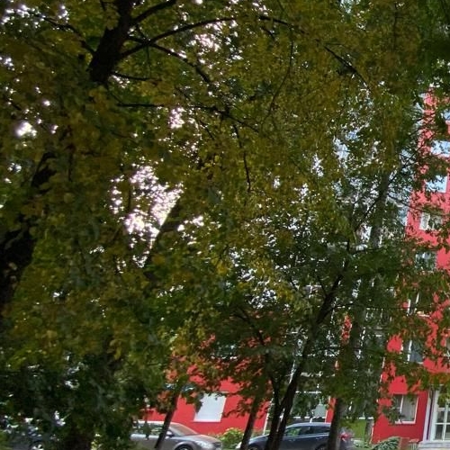 1-комн квартира Совхозная улица, 8Б