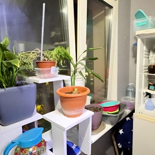 1-комн квартира Жуковский, улица Гагарина, 62