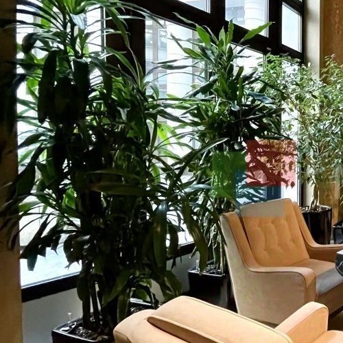 3-комн квартира улица Большая Якиманка, 22К3