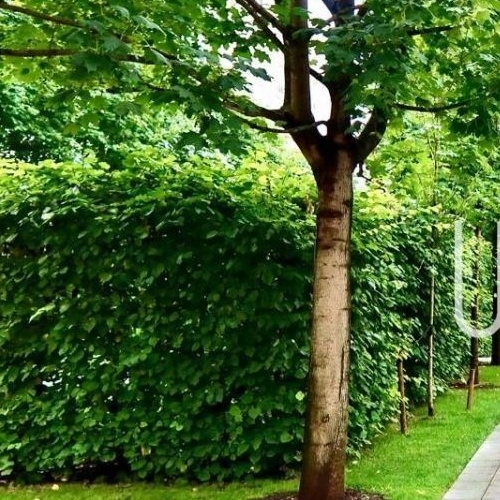 4-комн квартира улица Ефремова, 19к4