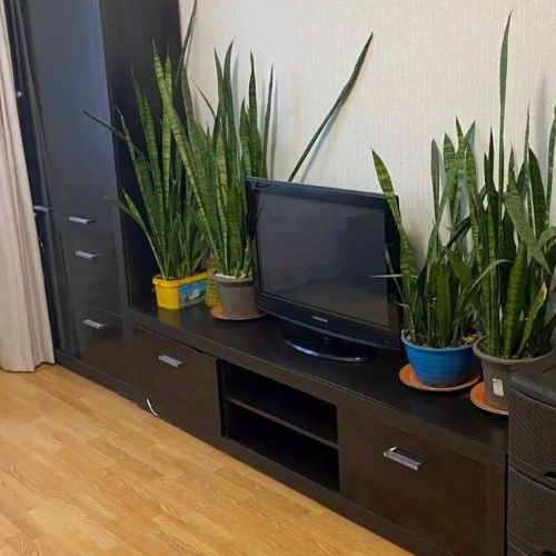 1-комн квартира Октябрьский пгт, улица Спортивная, 2