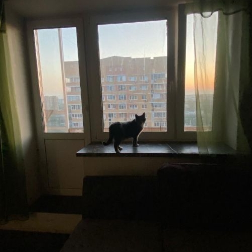 2-комн квартира Лобня, проезд Свободный,  д. 5