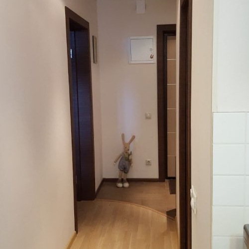 1-комн квартира улица Авиаконструктора Петлякова, 9