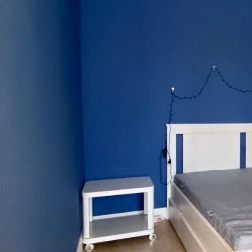 1-комн квартира с. Ромашково, улица Никольская, 8к2