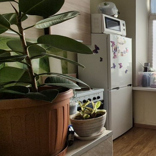 1-комн квартира Химки, улица Германа Титова, 2к1