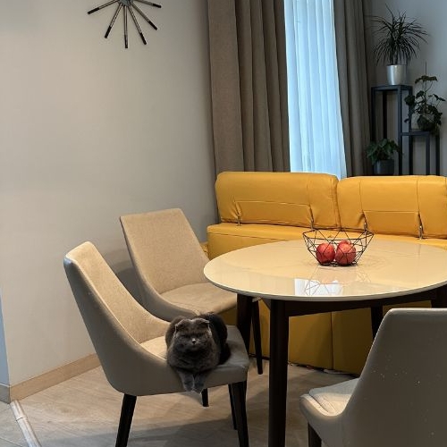 2-комн квартира Химки, проезд Транспортный, 15