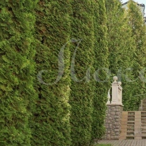 4-комн квартира Береговая улица, 4к10