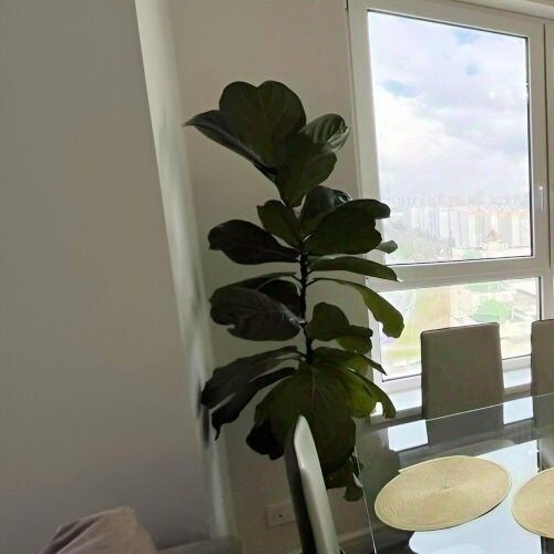 3-комн квартира Озерная улица, 35