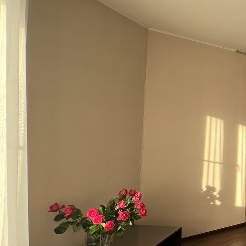 2-комн квартира 3-й мкр, Звенигород, 17