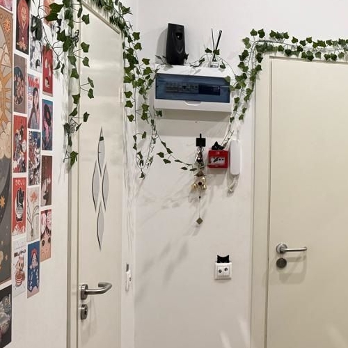 Студия Химки, Московская улица, 21А