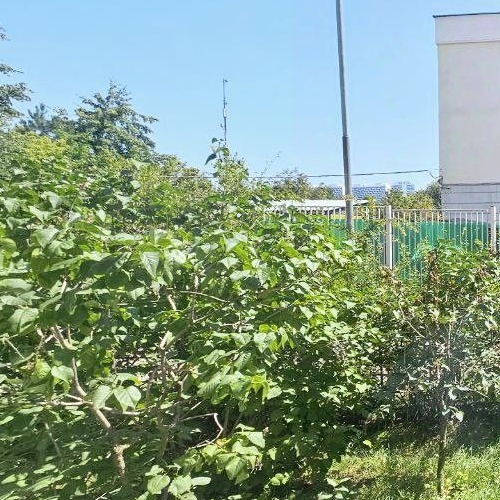 Студия Ходынский бульвар, 13