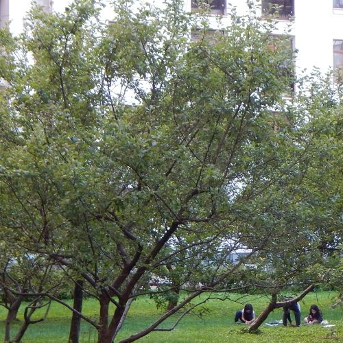 4-комн квартира Чапаевский переулок, 3