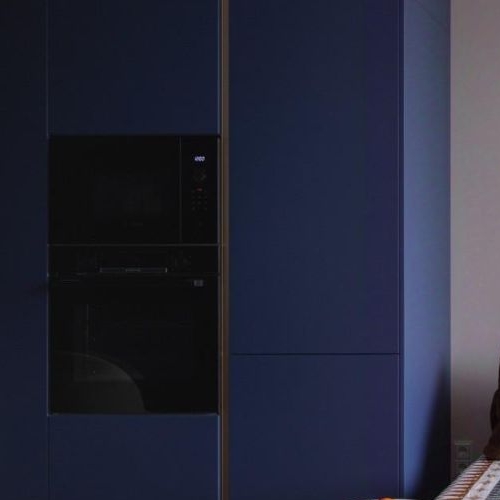 Студия Мичуринский проспект, 56