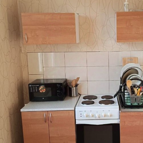 1-комн квартира улица Летчика Грицевца, 12