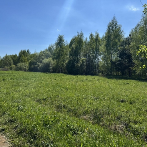 Коттедж/дом Колосово, 46Н-03873