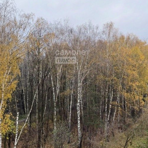 1-комн квартира д. Федурново, улица Авиарембаза, 11