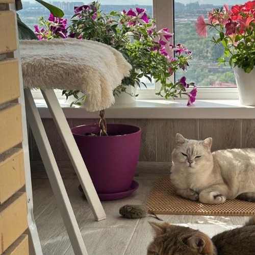 1-комн квартира Озерная улица, 9