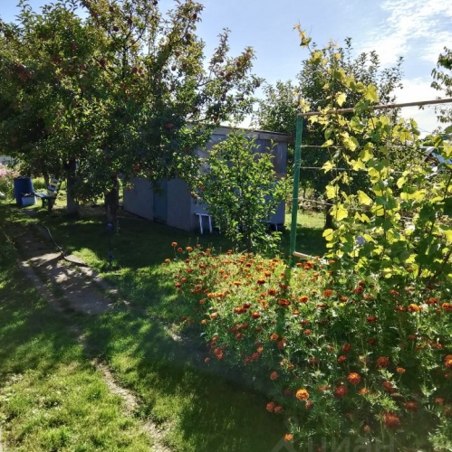 Коттедж/дом Успенский, ул Луговая,  д. 5