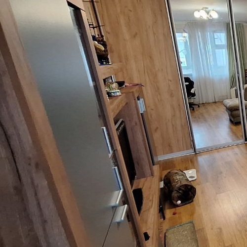 2-комн квартира улица Летчика Грицевца, 10