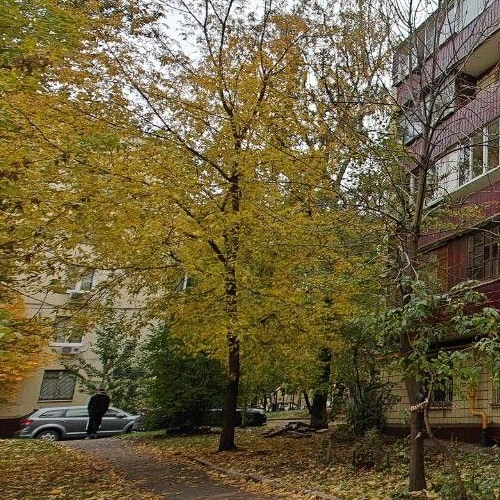 Студия улица Новая Башиловка, 10