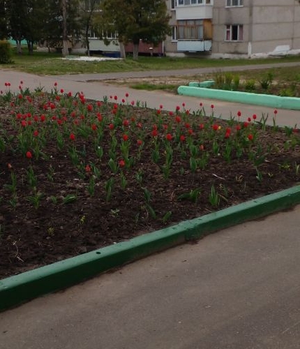 1-комн квартира с. Глубокое, 13