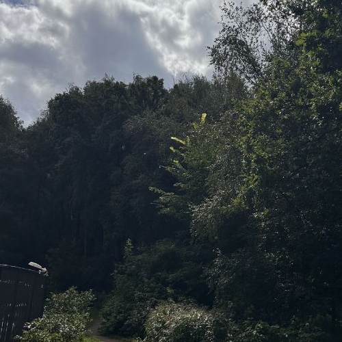 2-комн квартира Химки, улица Бабакина, 15