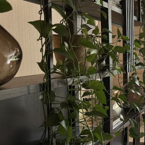 6-комн квартира Минская улица, 2Вк6