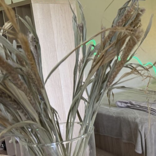 Студия Эдем ЖК, д. Гаврилково, улица 1-й Квартал,  д. 6