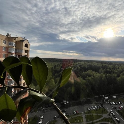 2-комн квартира пос. Горки-10, 34к1