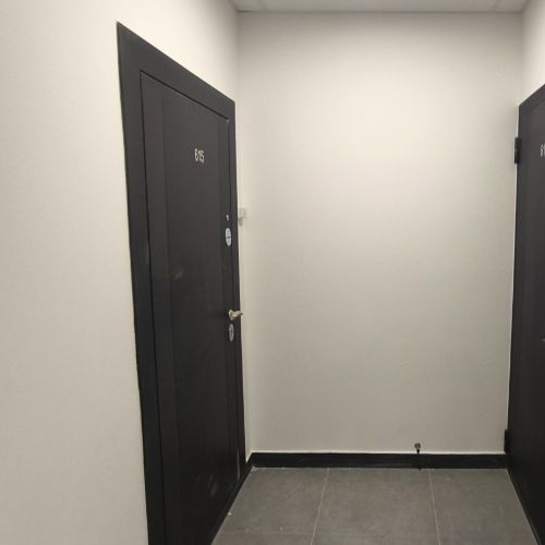 1-комн квартира Муравская улица, 46к1