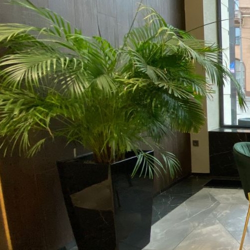 Студия Ленинградский проспект, 34А