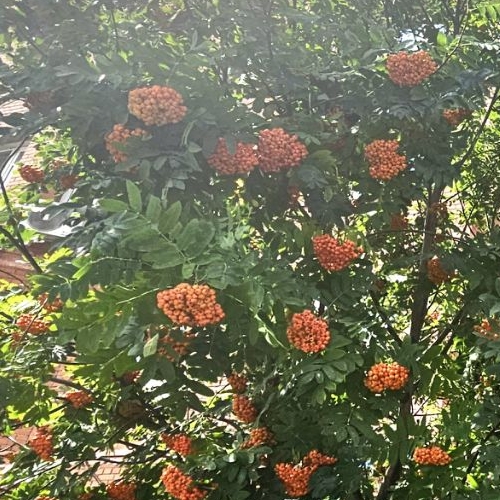 2-комн квартира Раменское, улица Молодежная, 18