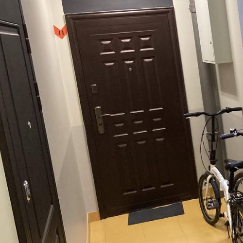 2-комн квартира Сампо ЖК, д. Красный Поселок, улица Фадеева,  д. 8